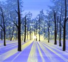 Canvas Painting Class on 12/02 at Muse Paintbar Annapolis